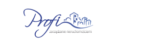https://www.profizarzadzanie.pl/